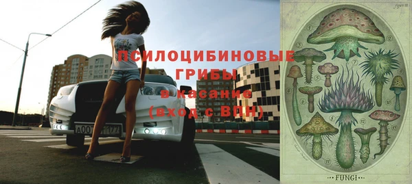 винт Армянск