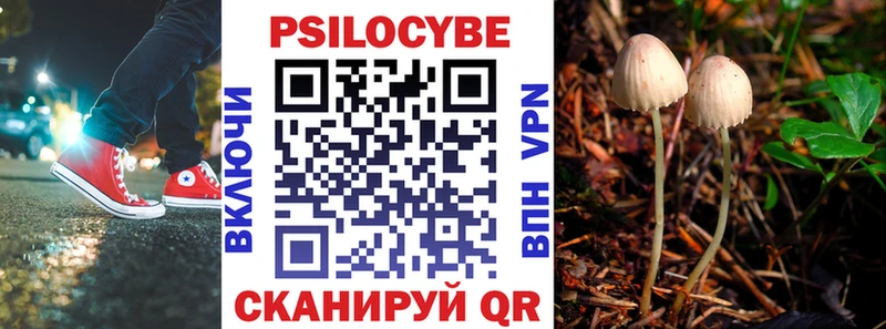 где купить наркотик  Реж  Псилоцибиновые грибы GOLDEN TEACHER 